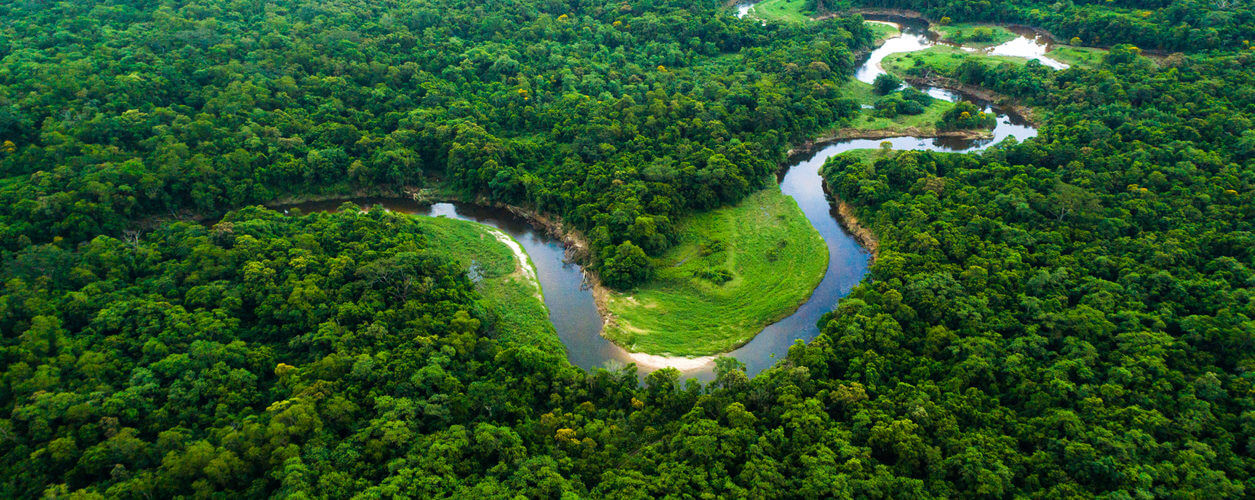 O Que é Bioma Amazônico