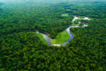Bioma Amazônia: principais características, clima, solo, vegetação, fauna e mais!