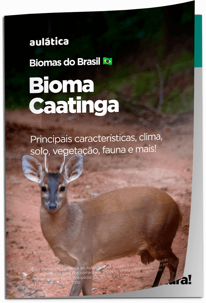 Bioma Caatinga