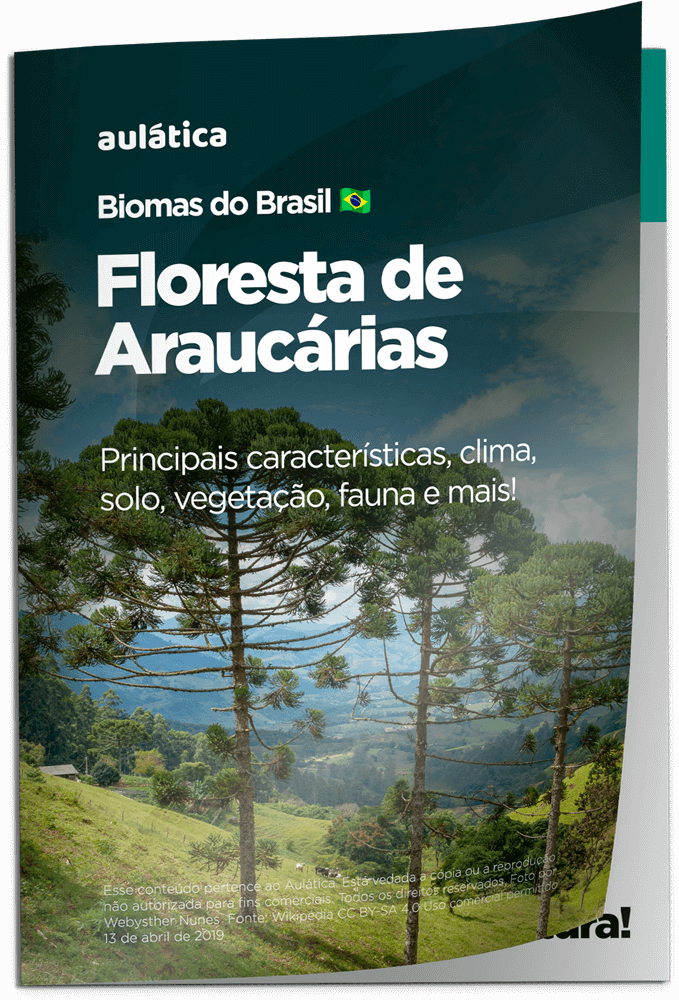 Ecossistema Floresta de Araucárias