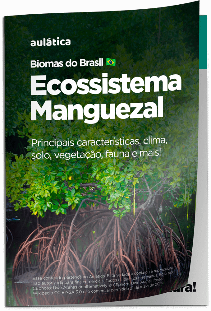 Ecossistema Manguezal