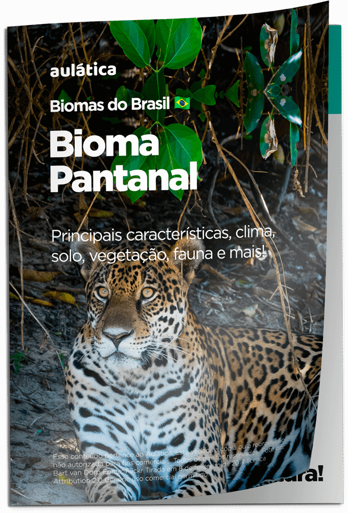 Bioma Pantanal