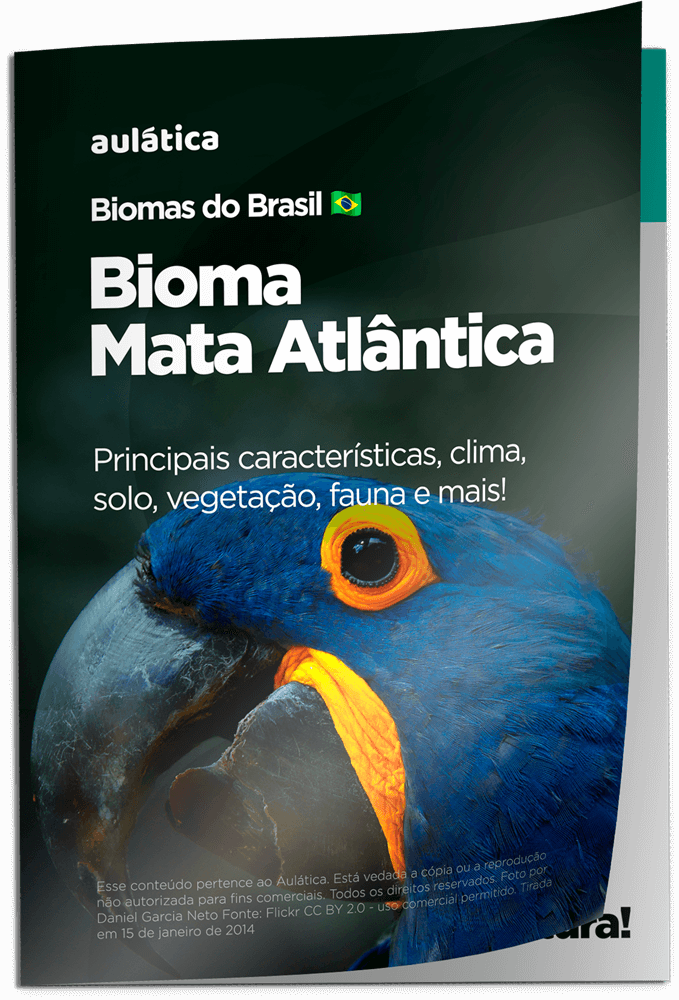 Bioma Mata Atlântica